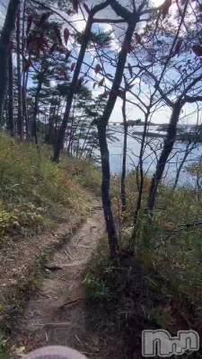 新潟デリヘル LOVE AFFAIR～秘密のデート(ラブアフェア～ヒミツノデート) 美雪さん【♪♪♪】(35)の11月21日動画「馬の背を動画におさめたよ☺️」