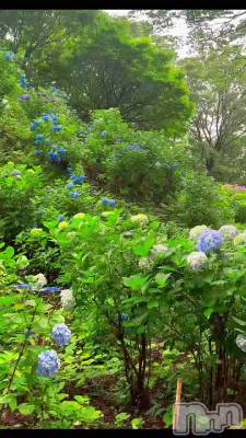 新潟デリヘル LOVE AFFAIR～秘密のデート(ラブアフェア～ヒミツノデート) 美雪さん【♪♪♪】(35)の7月5日動画「💙💜毎年恒例💙💜」