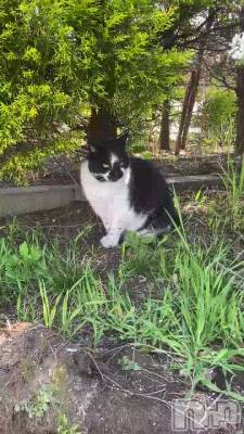 新潟デリヘル LOVE AFFAIR～秘密のデート(ラブアフェア～ヒミツノデート) 美雪さん【♪♪♪】(35)の4月20日動画「再会*.+ﾟ」