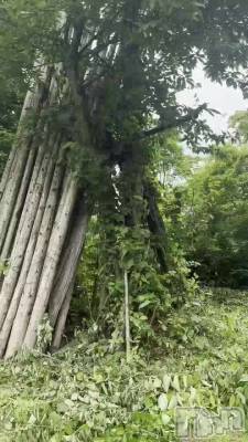 あの川に、熊が出たらしい