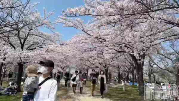 美雪さん【♪♪♪】の動画 今日は白山公園でお花見🍡⸜(  ॑꒳ ॑ 🍡⸜)