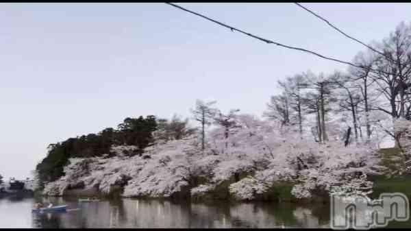 美雪さん【♪♪♪】の動画 儚い🌸🌸🌸🌸🌸🌸
