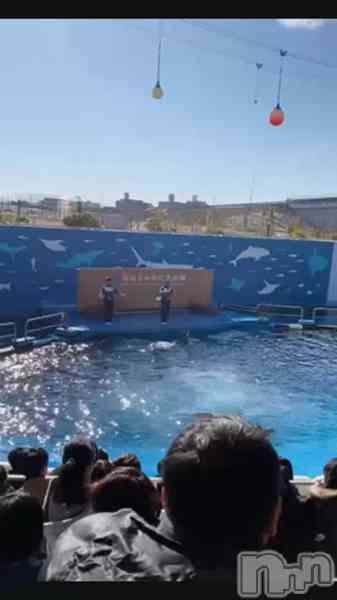 美雪さん【♪♪♪】の動画 すごく癒された°･🐠