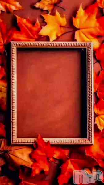 美雪さん【♪♪♪】の動画 今日いいお天気で嬉しすぎる(〃✪ω✪〃)💓