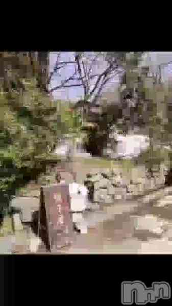 美雪さん【♪♪♪】の動画 ほんとはこの動画を…