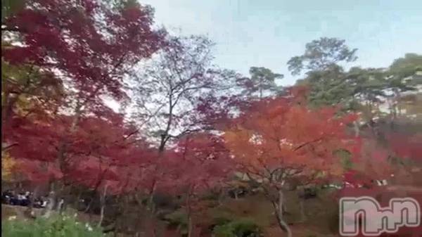 新潟人妻デリヘルLOVE AFFAIR～秘密のデート(ラブアフェア～ヒミツノデート) 美雪さん【♪♪♪】(35)の11月14日動画「」