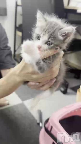まだ赤ちゃん꒰՞˶ˊᵕˋ˶՞꒱🩷