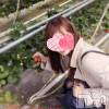 新潟人妻デリヘル LOVE AFFAIR～秘密のデート(ラブアフェア～ヒミツノデート) 美雪さん【♪♪♪】(35)の11月21日写メブログ「ただいま(∩´∀`∩)」