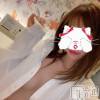新潟人妻デリヘル LOVE AFFAIR～秘密のデート(ラブアフェア～ヒミツノデート) 美雪さん【♪♪♪】(35)の2月19日写メブログ「龍上海行ってきたよ( ˶ˆ꒳ˆ˵ )- ̗̀ ♡ ́ ̖-」