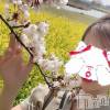 新潟人妻デリヘル LOVE AFFAIR～秘密のデート(ラブアフェア～ヒミツノデート) 美雪さん【♪♪♪】(35)の4月4日写メブログ「大きな感謝。*.+ﾟ」