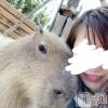 新潟人妻デリヘル LOVE AFFAIR～秘密のデート(ラブアフェア～ヒミツノデート) 美雪さん【♪♪♪】(35)の5月3日写メブログ「ＧＷに観た映画第一弾♡」