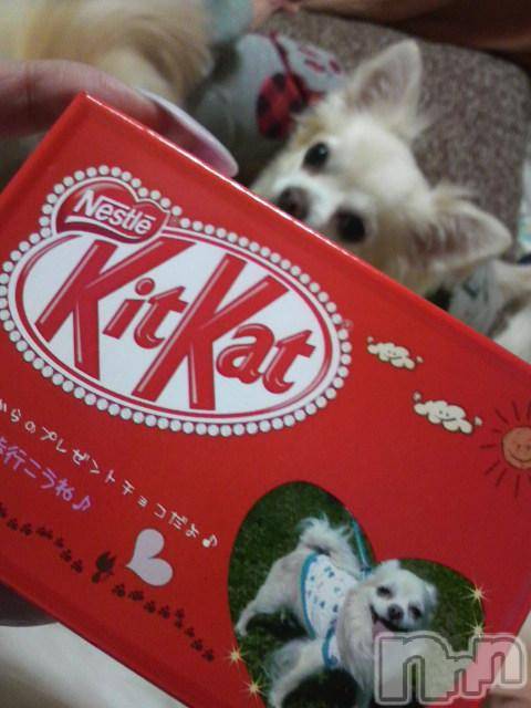 ĮӥSugar(奬) ĮŹåդ1015̥֥֥åȥƥȥåȡ