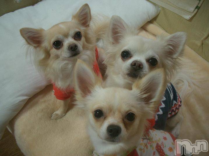 ĮӥSugar(奬) 2009ǯ1126ֺ̥֥Υƥȥѡ