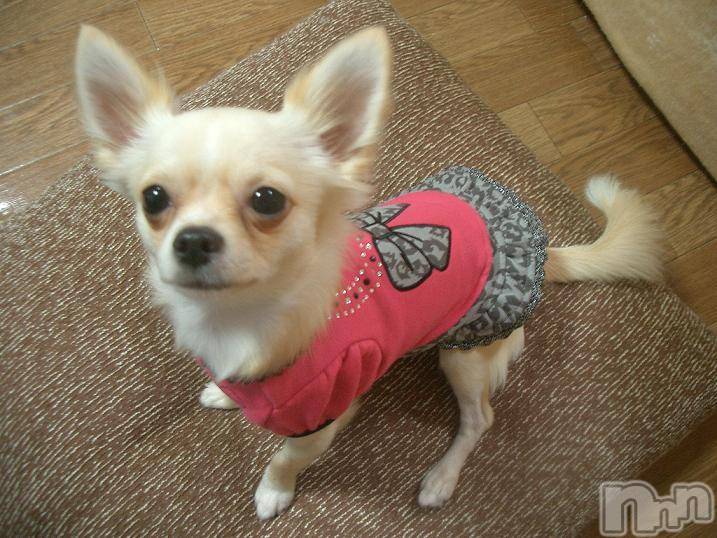 ĮӥSugar(奬) 2009ǯ1126̥֥֥ͤο