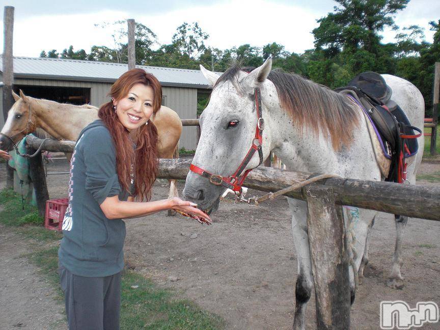 ĮӥSugar(奬) 2010ǯ1114̥֥֤