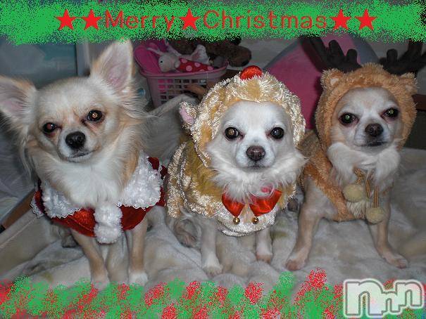 ĮӥSugar(奬) 2010ǯ1224̥֥MerryChristmas