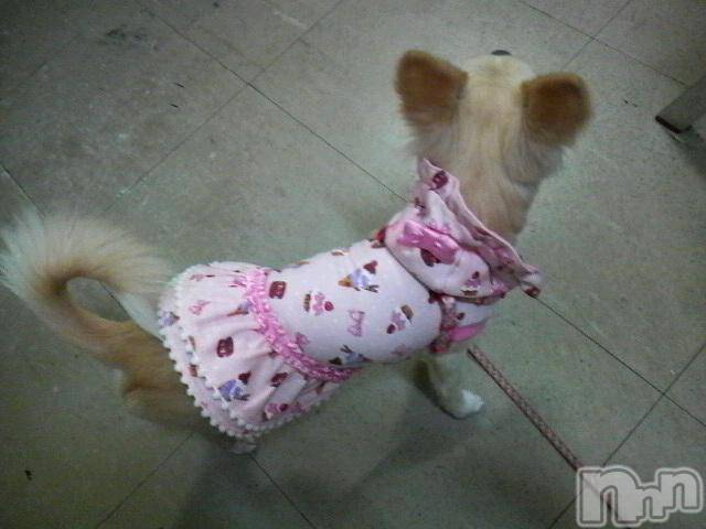 ĮӥSugar(奬) 2009ǯ918̥֥֤ˤ夦(* ࡮*)