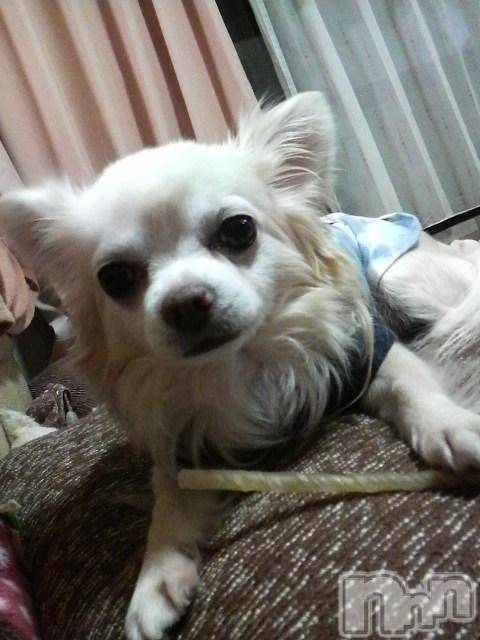 ĮӥSugar(奬) 2009ǯ919̥֥֤󤷤(*^^*)