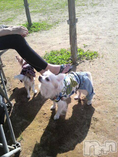 ĮӥSugar(奬) 2009ǯ921̥֥~~~~(ϡ)֡
