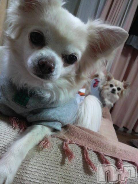 ĮӥSugar(奬) 2009ǯ1112ֿ̥֥ʤ
