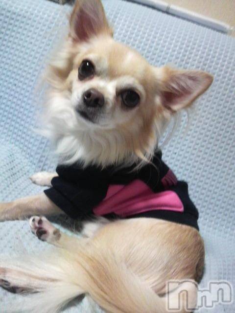 ĮӥSugar(奬) 2009ǯ1121ֺ̥֥Υ鷯