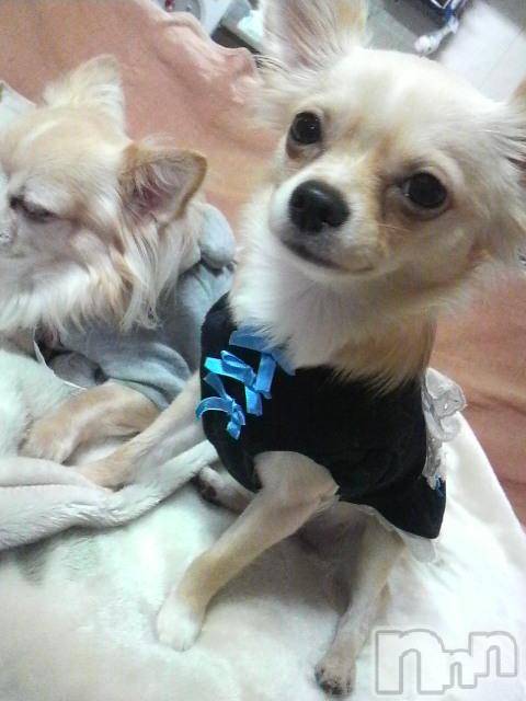 ĮӥSugar(奬) 2010ǯ114̥֥֤(* ࡮*)