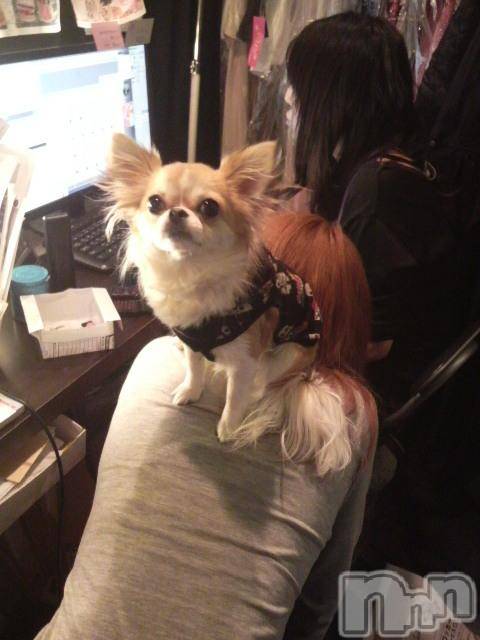 ĮӥSugar(奬) 2010ǯ311̥֥֤ä(ġϡ)ġ