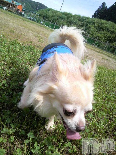 ĮӥSugar(奬) 2010ǯ721̥֥֡