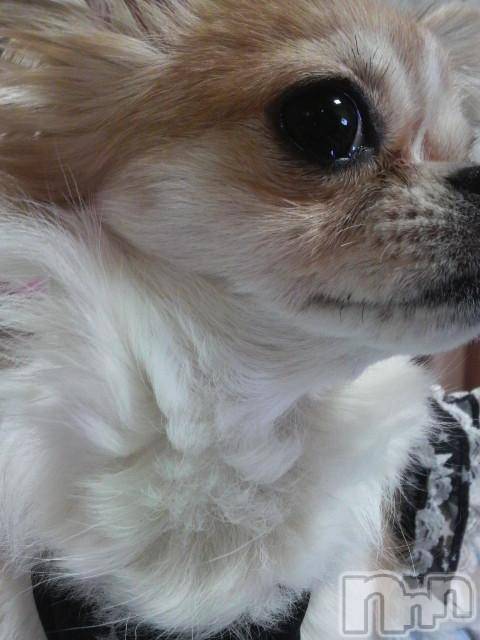 ĮӥSugar(奬) 2010ǯ85̥֥֥()Ρ