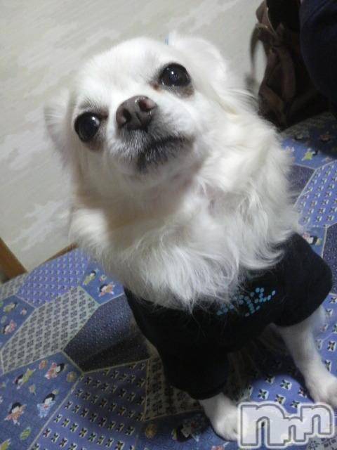 ĮӥSugar(奬) 2010ǯ1124̥֥֤󤻤