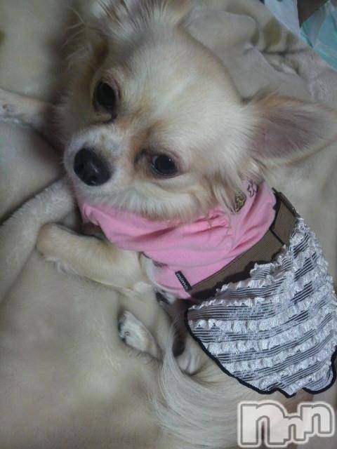 ĮӥSugar(奬) 2010ǯ1212̥֥֥ѡǡ