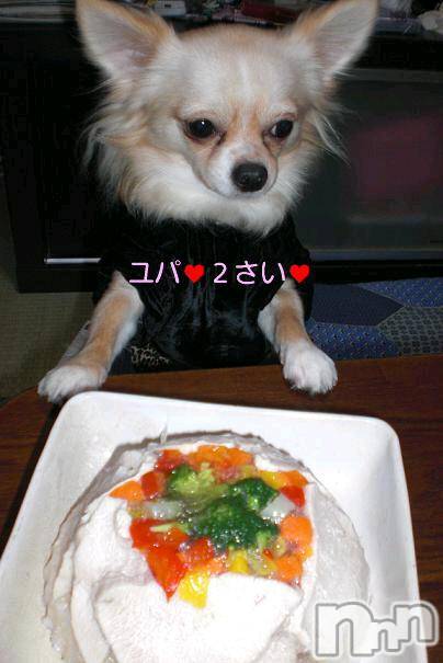 ĮӥSugar(奬) 2011ǯ111̥֥֤ͤ΢