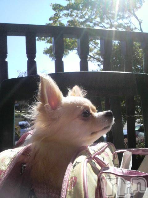 ĮӥSugar(奬) 2011ǯ1016ַ̥֥ڰÎގ(^^)/