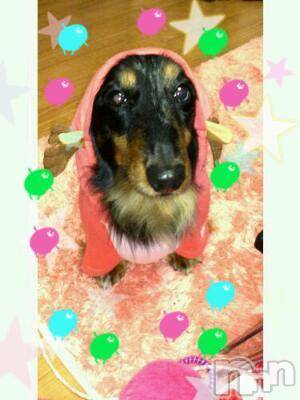 ĮӥSugar(奬) 2012ǯ115̥֥֥åѡ(^o^)