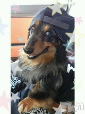 ĮӥSugar(奬) 2013ǯ56ְ̥֥