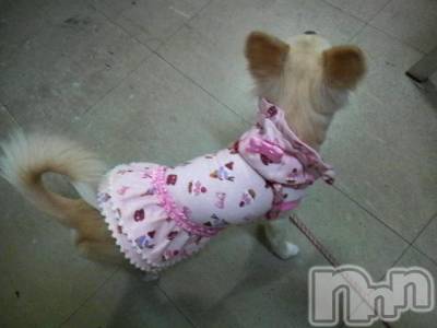 ĮӥSugar(奬) ĮŹåդ918̥֥֤ˤ夦(* ࡮*)