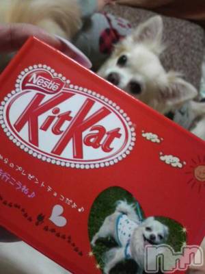 ĮӥSugar(奬) ĮŹåդ1015̥֥֥åȥƥȥåȡ