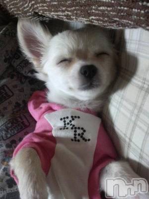 ĮӥSugar(奬) ĮŹåդ1022ֿ̥֥(*࡮*)