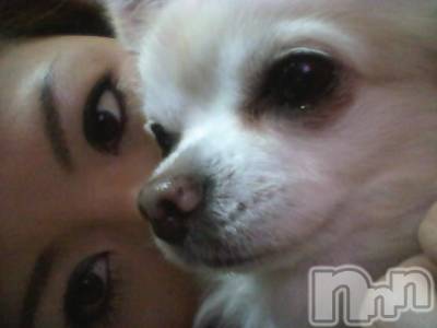 ĮӥSugar(奬) ĮŹåդ1119̥֥֥ƥȤȢ(* ࡮*)