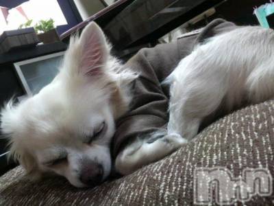 ĮӥSugar(奬) ĮŹåդ1120̥֥֥ƥȤ