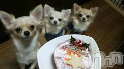 ĮӥSugar(奬) ĮŹåդ1225̥֥֥ꥹޥ