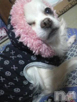ĮӥSugar(奬) ĮŹåդ1025̥֥ä(*^-')b