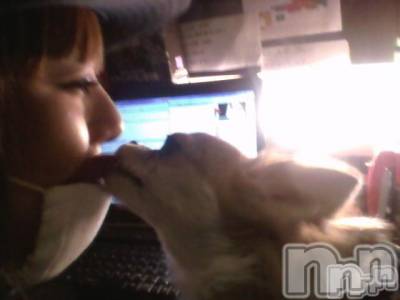ĮӥSugar(奬) ĮŹåդ1116̥֥֥