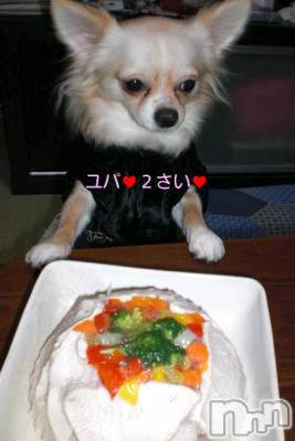 ĮӥSugar(奬) ĮŹåդ111̥֥֤ͤ΢