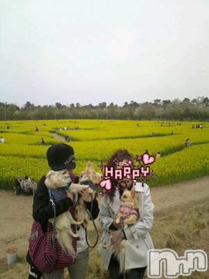 ĮӥSugar(奬) ĮŹåդ59ֺ̥֥ڤβȪ(^3^)/