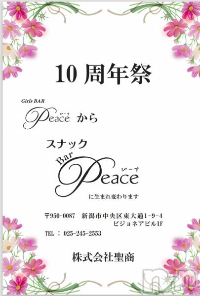 ʥå륺СʥåBar Peace(ʥåС ԡ)  2024ǯ1115̥֥֡㊗10ǯǰ٥ȡۡ