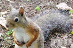 上田発デリヘル 人妻華道 上田店(ヒトヅマハナミチウエダテン) かおり(35)の6月11日写メブログ「負けた」