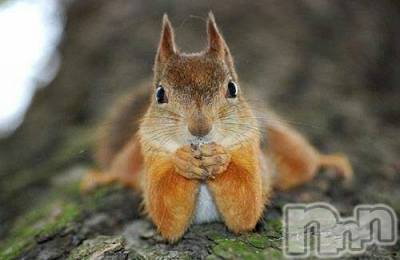 上田発デリヘル 人妻華道 上田店(ヒトヅマハナミチウエダテン) かおり(35)の9月3日写メブログ「勝負」