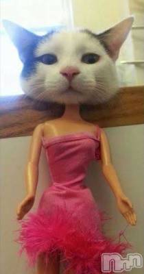 上田発デリヘル 人妻華道 上田店(ヒトヅマハナミチウエダテン) かおり(35)の3月16日写メブログ「癒しになるかな？」