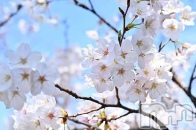 上田発デリヘル 人妻華道 上田店(ヒトヅマハナミチウエダテン) かおり(35)の3月26日写メブログ「自粛モード」